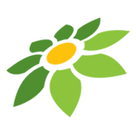 CHORDTELA WIRANG